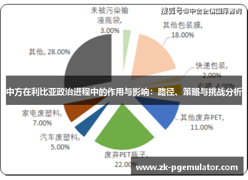 中方在利比亚政治进程中的作用与影响：路径、策略与挑战分析