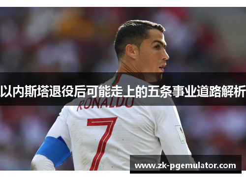 以内斯塔退役后可能走上的五条事业道路解析