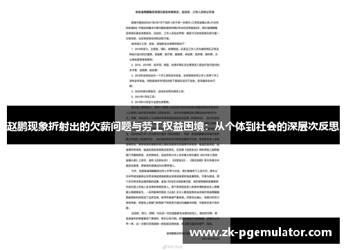 赵鹏现象折射出的欠薪问题与劳工权益困境：从个体到社会的深层次反思